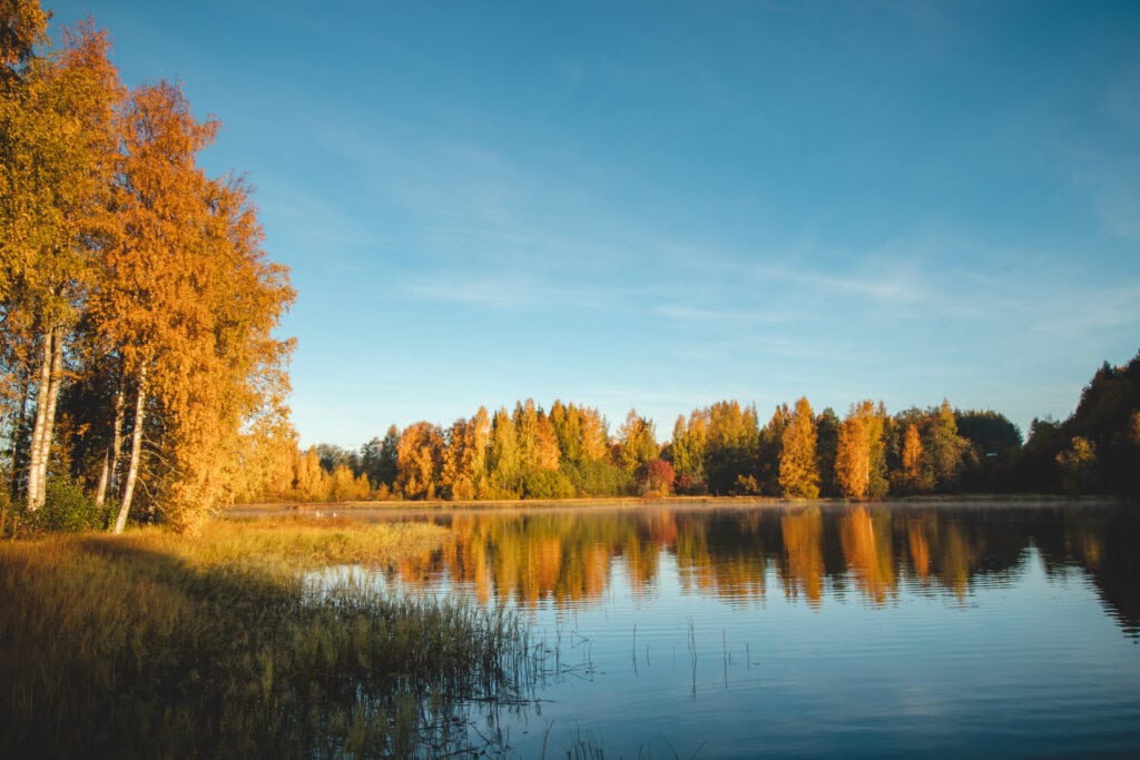 metsä ruskan väreissä, järven pinnasta heijastuu metsä