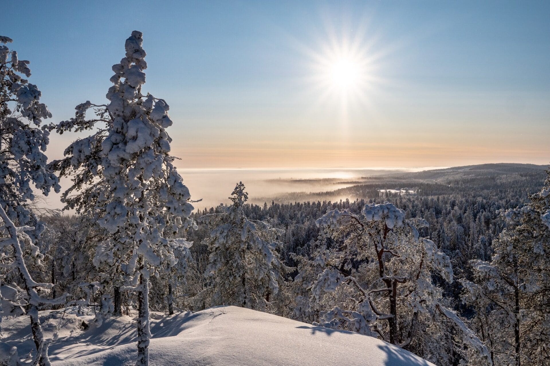 Seikkailukuva. Talvista maisemaa Vuokatinvaaralta. Lumisia puita ja auringonpaiste. Kuvituskuva.
