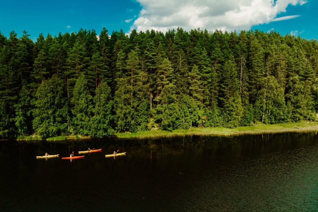 Kuvassa neljä kanoottia melomassa metsämaiseman edessä.