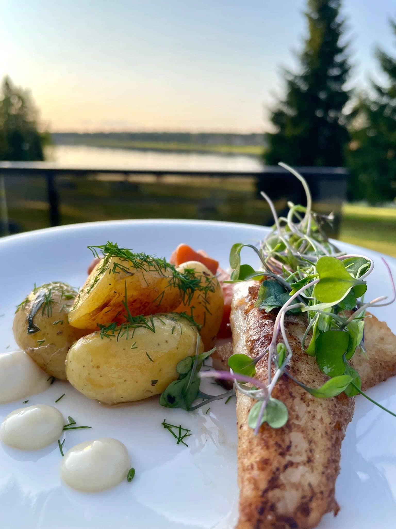 Bistro Nuas | Vuokatti