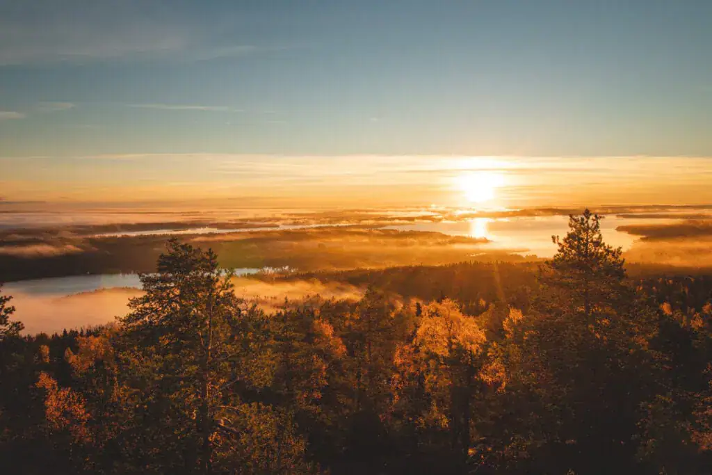 The colours of autumn at sunset.